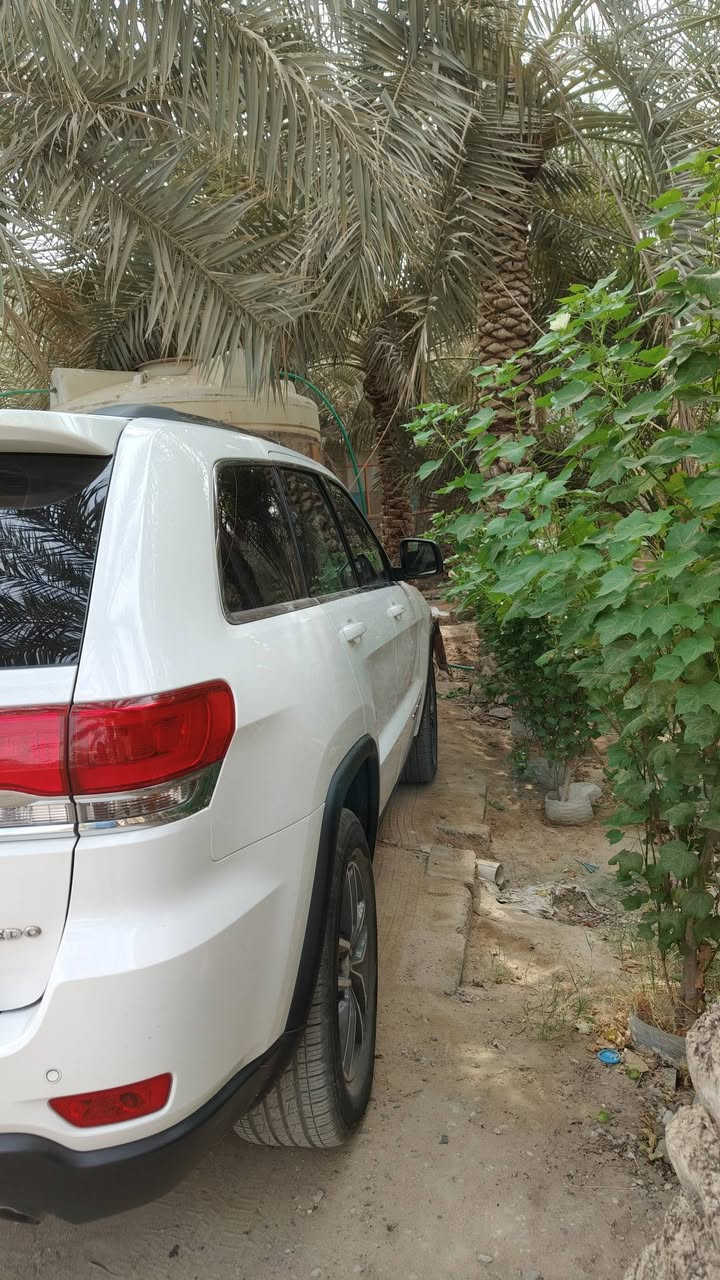 لاريدو • ٢٠١٨ • ٥٥٠٠٠ كم