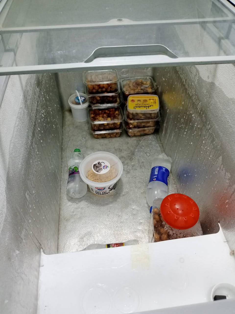 مجمدة • جديدة • نظيفة