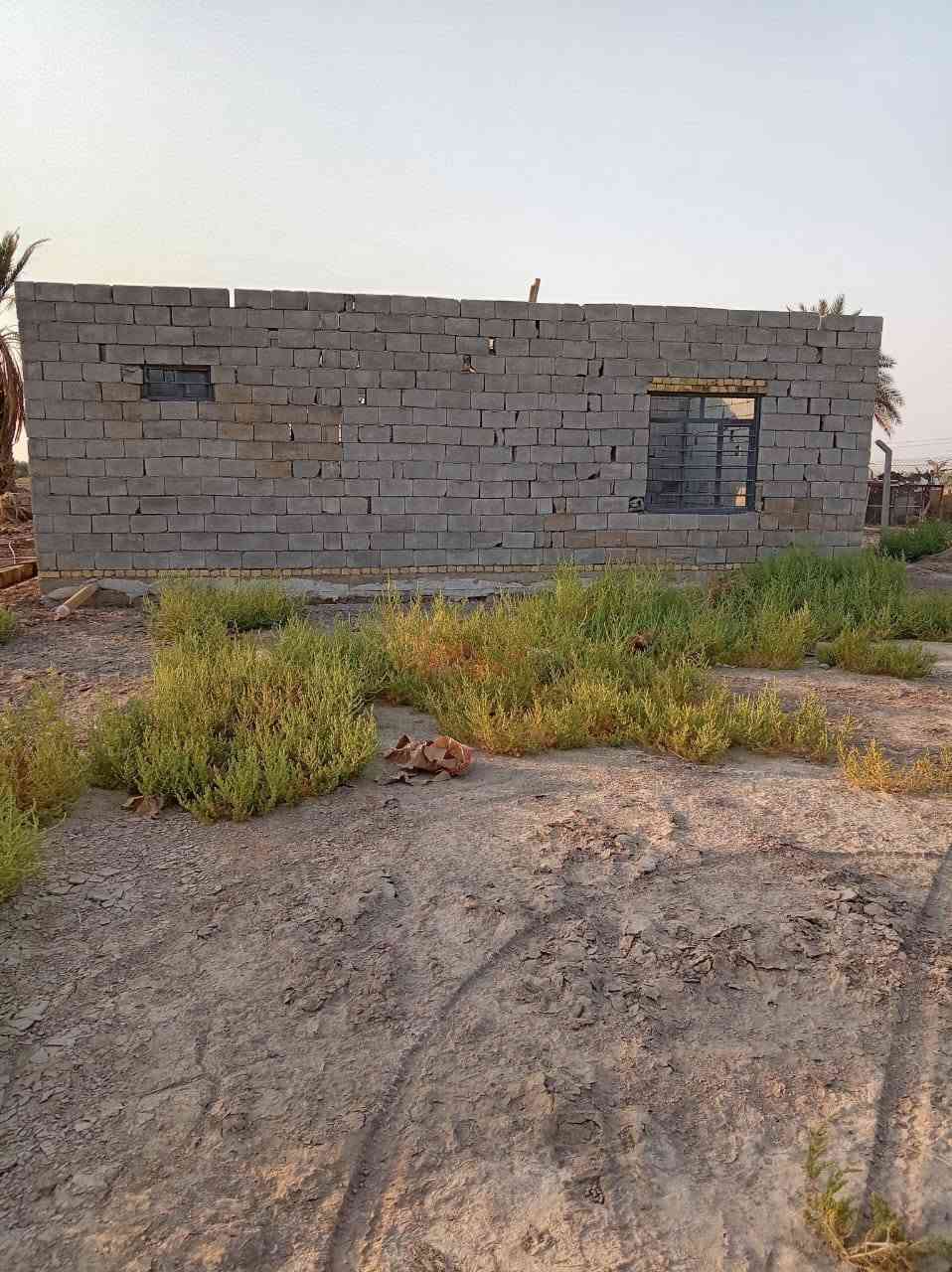 دونم زراعي سند 25 شرط التحويل  مع هيكل 
يبعد عن الشارع العام 300م
عنوانه كوت حي الجهاد زنابره قرب العلويه حديد 
سعره 45مليون وبيه مجال
