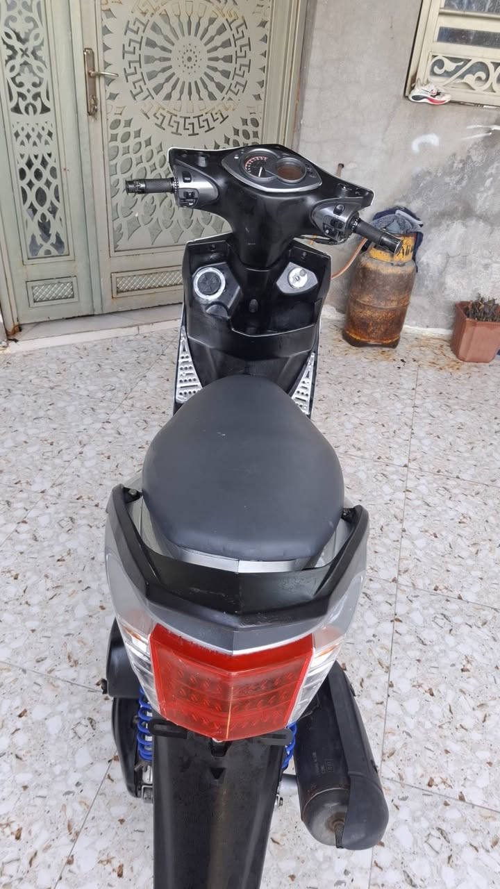 سكنس فحل • نضيفه • نعومة ٩٥