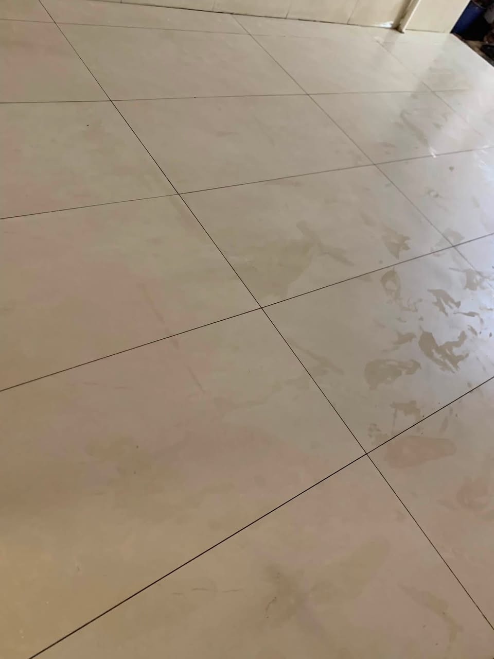 سيراميك جدار • بورسلين ارضية • شغل درجة أولى