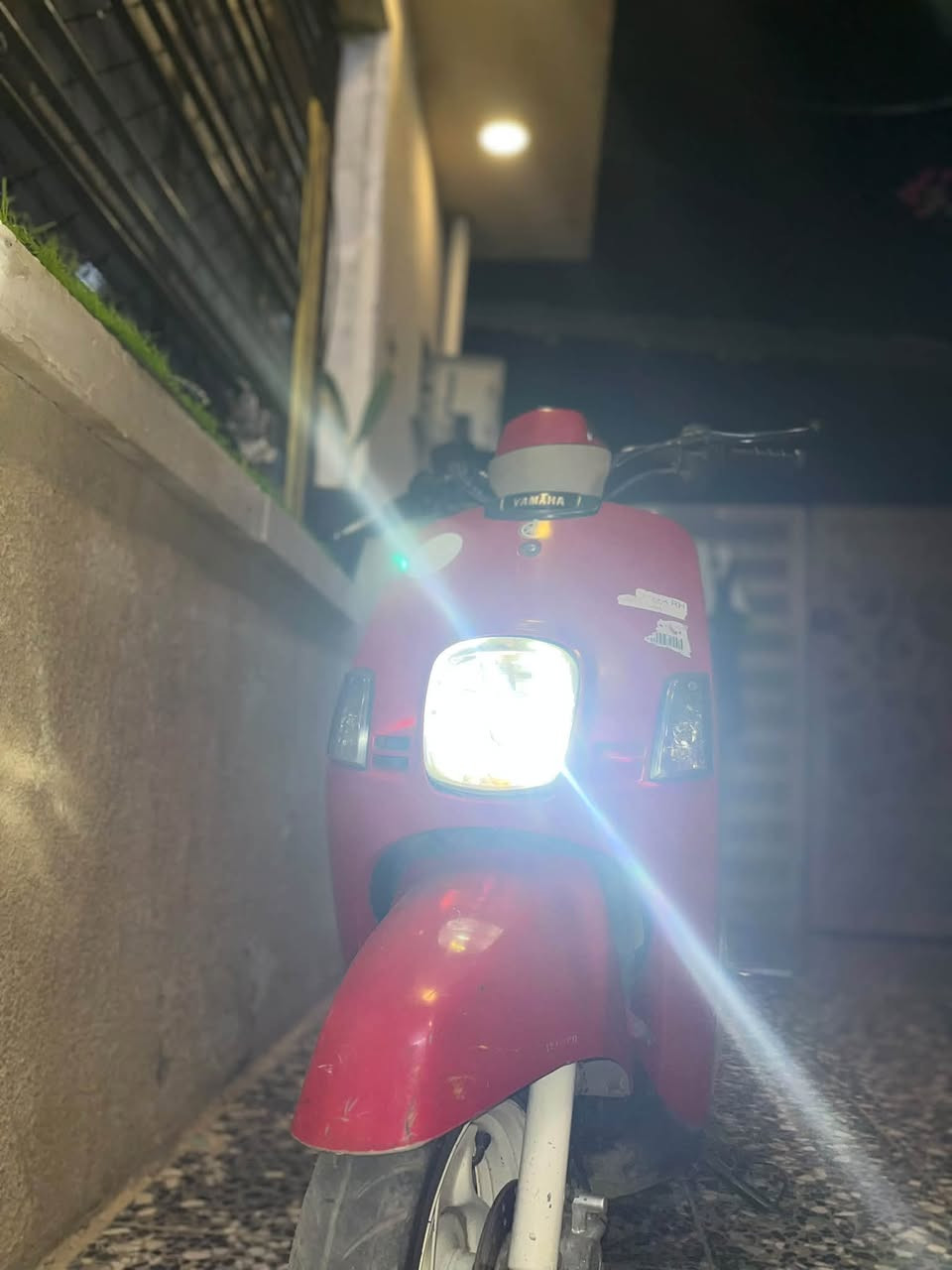 بوليس • نضيفه • لايت زينون