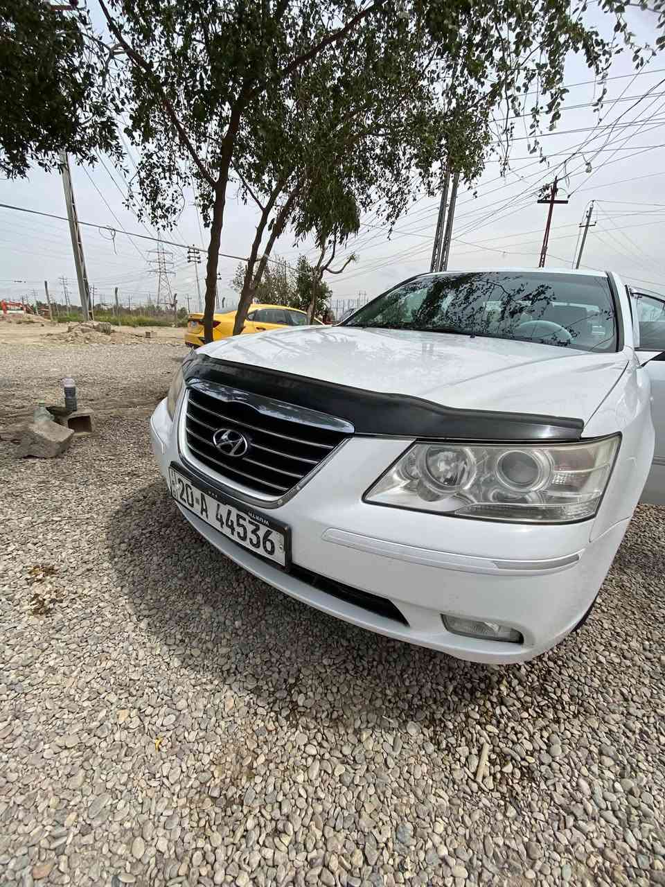 سوناتا • ٢٠١٠ • منصومة غاز