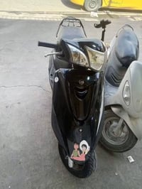 بريز • ببغاء • مع اوراق