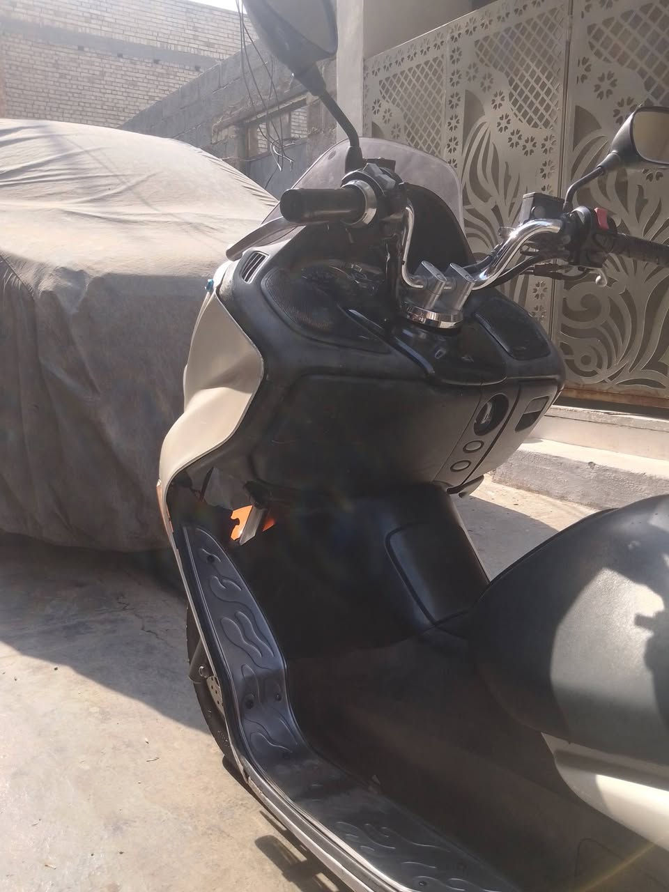 فورزا • زيرو • زنون