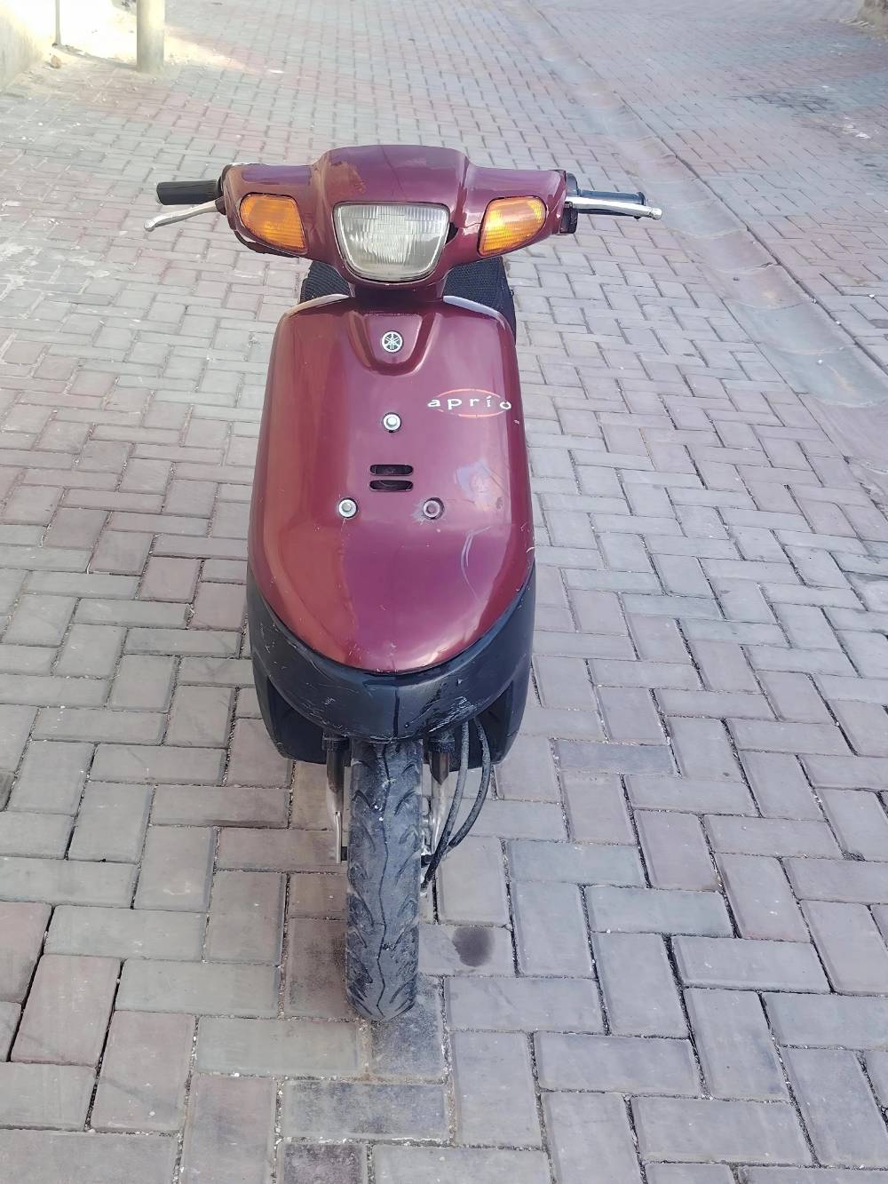 بوتين • فحل • دبل سكريتر
