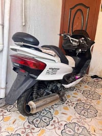ماجستا • دبل رون • نضيف