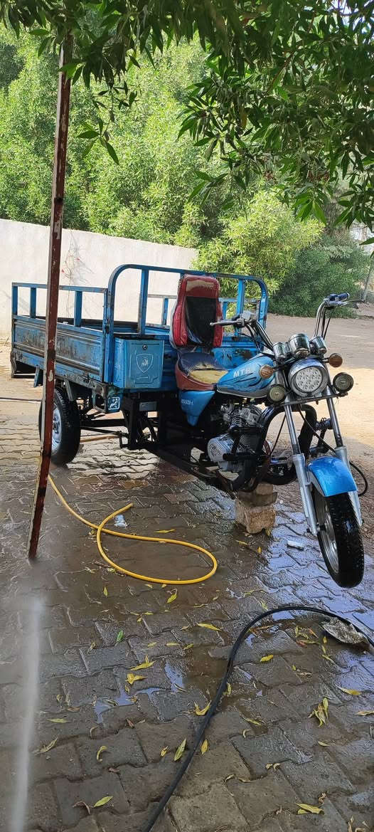 نجف مشخاب • ٢٠١٥ • اوراق باسم