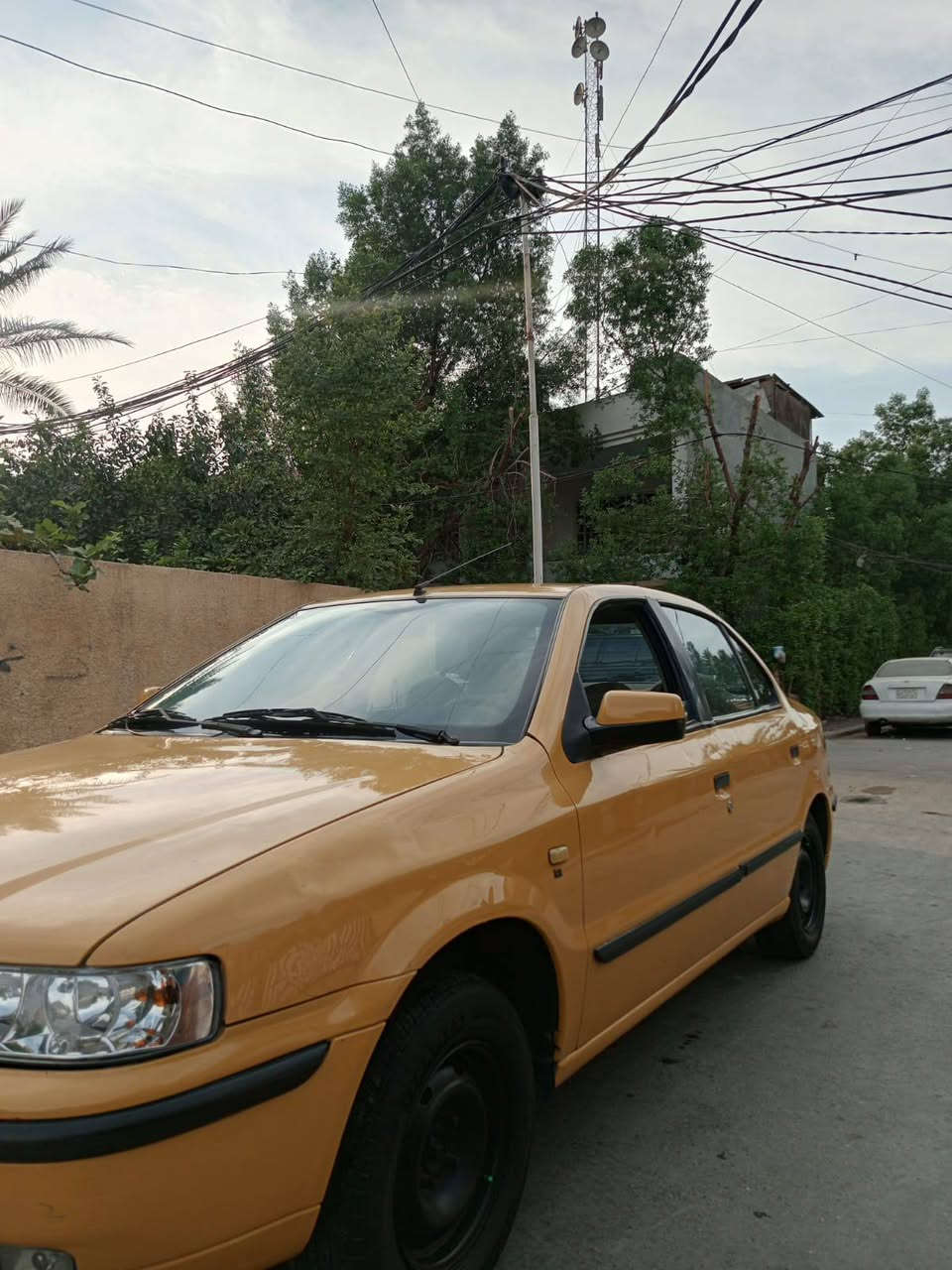 سمند • ٢٠١١ • بدون صبغ