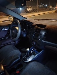 سيراتو • مصبوغه • نجف