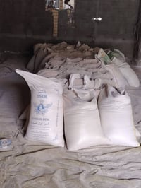 جص الجزيرة • درجة أولى • فحص معمل