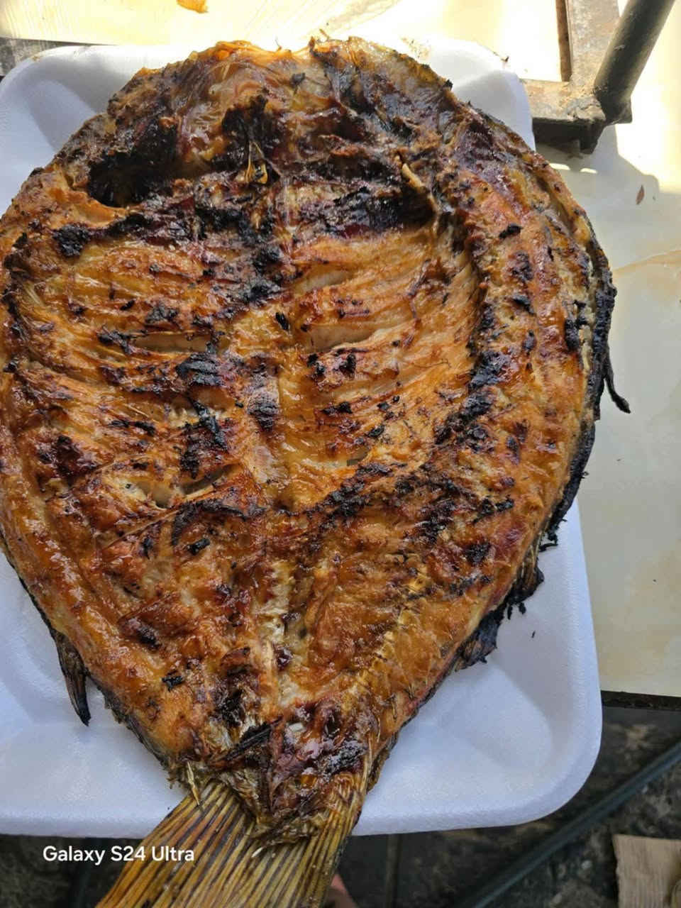 مشويات علي الزيداوي🌹 عنوان بداية سوك مزكوف اهلا وسهلا بالكل🧿 (للحجز ***********.)
# كيلو سمك هوه وشويه  6000 ألف فقط. 
وأيضا خصم للمناسبات شوي فقط 1000 دينارا 🧿🧿

نص مكتوب في الصور:
- جميع مناسبات شوي سمك
- فقط 1000 ألف دينار 🧿🧿
- أهلا وسهلا بالكل للحجز
- ***********
- Galaxy S24 Ultra