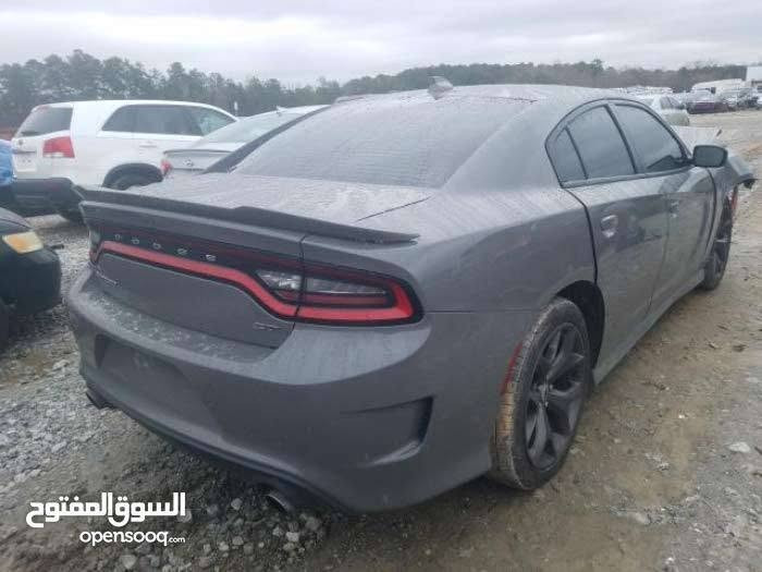 19 GT للبيع ومراوس حسب الرغبه بسمي رقم بغداد ***********

نص مكتوب في الصور:
- السوق المفتوح opensooq.com
- المنتوح opensooq.com