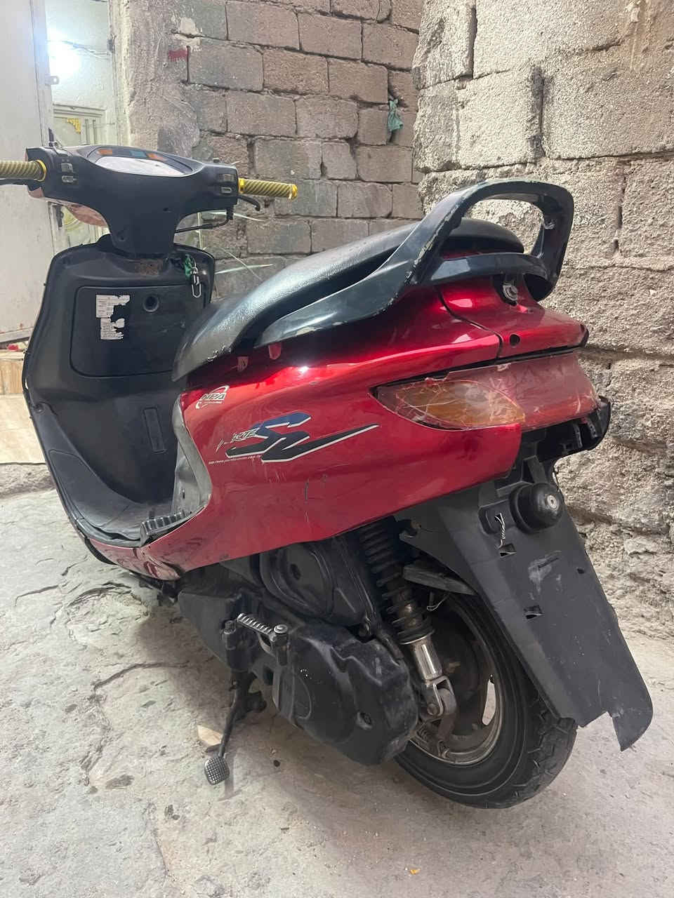 فراشه نثيه • ياباني • تجفيت عام