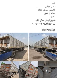 بودي عراقي • ١٢ نص • شانصي دينكل شرط