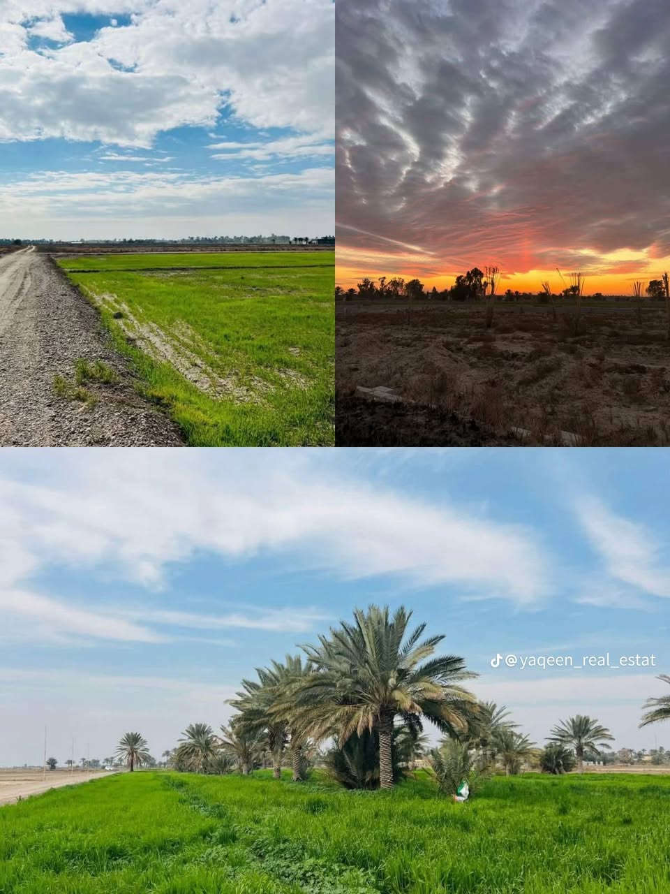 السلام عليكم 
عروض الاراضي الزراعيه الدوانم والاراضي السكنيه الطابو ملك صرف المساحات من دونم واحد الى ٢٠٠ دونم مناطق
 طابو زراعي سند ٢٥ يعني الارض تتحول بسمك الاسعار من 35مليون الى 70مليون 
🏡 دوانم طابو زراعي باسعار مميزة  ومعزولة في المناطق التالية:-
1 . الشيحة
2.السميلات
3.مناصير 10
4.عكركوف
5.جسر ماجد
6.الكويتيين
7.البصام 
8. منطقة ابراهيم ابن علي
💎💎 اشتري راحتك وراحة عائلتك👨‍👩‍👧‍👦 ضمن ارض معزولة  وهادئة وتحتوي   كافة الخدمات الاساسية من مدارس وتبليط واسواق وصناعي وتجاري  💎💎
مواصفات الاراضي
✅ الدونم يحوي كافة الخدمات الاساسية ( ماء 💧 + كهرباء ⚡️ + تبليط  ) 
✅ الدونم معزول عن الاراضي المجاورة 
 ✅  مشروع استثماري في بغداد  ) 
✅ الاراضي صالحة للبناء ووحدات سكنية كبيرة مجاري مستمر العمل بيها ميداني والمستشفى قائم العمل بيه يعني منطقه متكامله من كافة الخدمات مدارس حكوميه اهليه تبليط اماكن ترفيهيه 🙂
 للاستفسار / ‬
***********
‭***********‬
***********
