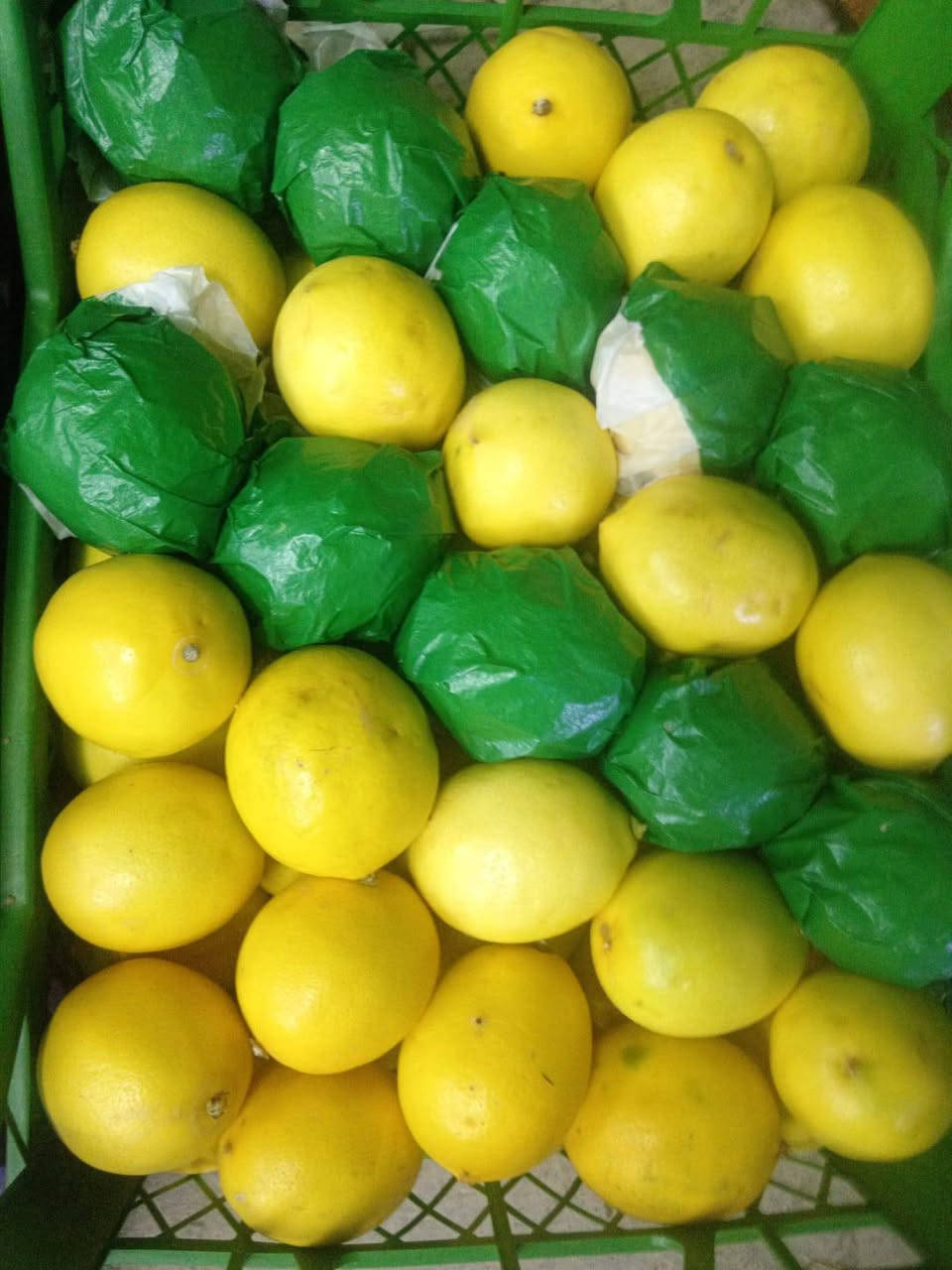 خضروات وفواكه • طازجة • شارع 20