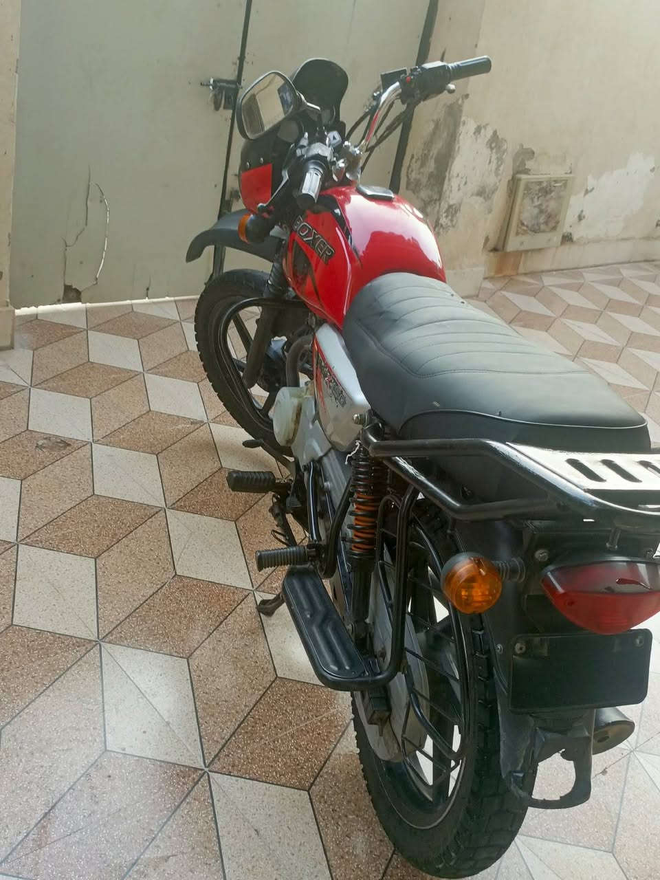 بوكسر جبلي • ٢٠٢٢ • اوراق اصليه