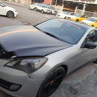 جينيسيس كوبي • ٢٠١٠ • مكفولة