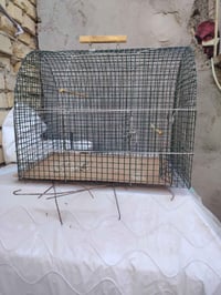 نضيف • متاح • ديكور