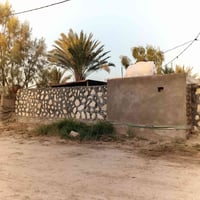 دوانيه دغارة • ٢٥٠م • دونم ونص