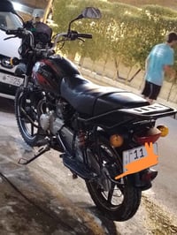 بوكسر • جبلي • ٢٠١٩
