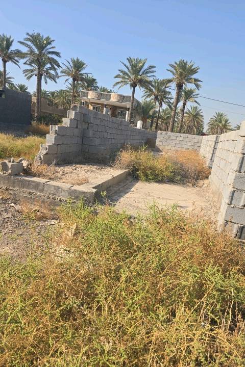 سلام  عليكم قطعه ارض للبيع المساحه ٧٠٠ متر 
الوجه ٢٨ متر النزال ٢٥ متر  المكان بغداد المحموديه حي  بلال مجاور بانزين خانه الدليمي
السعر ١٥٠ وبيه مجال  
الرقم ***********