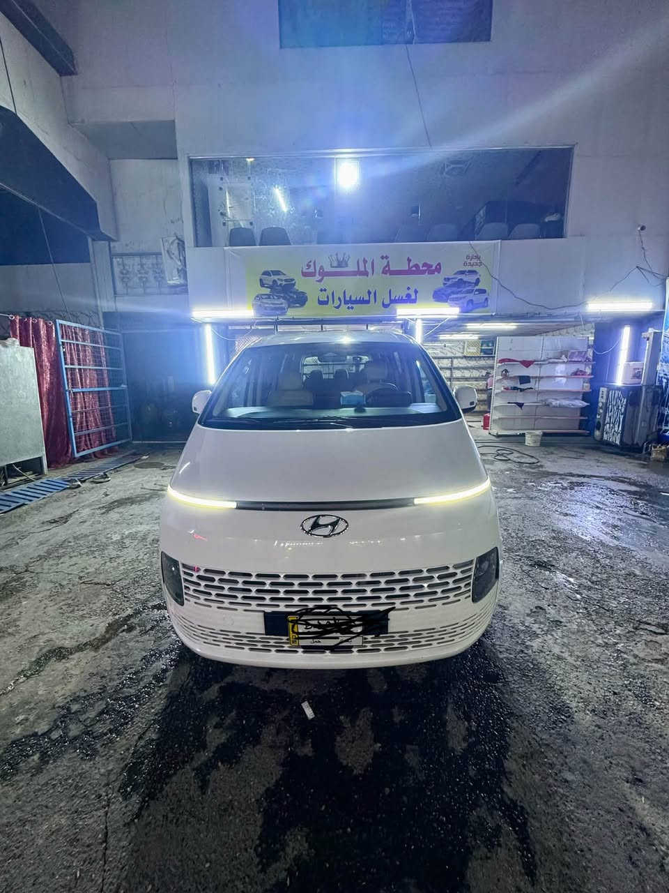 ستاريا فان • ٢٠٢٢ • ضربه خلفية