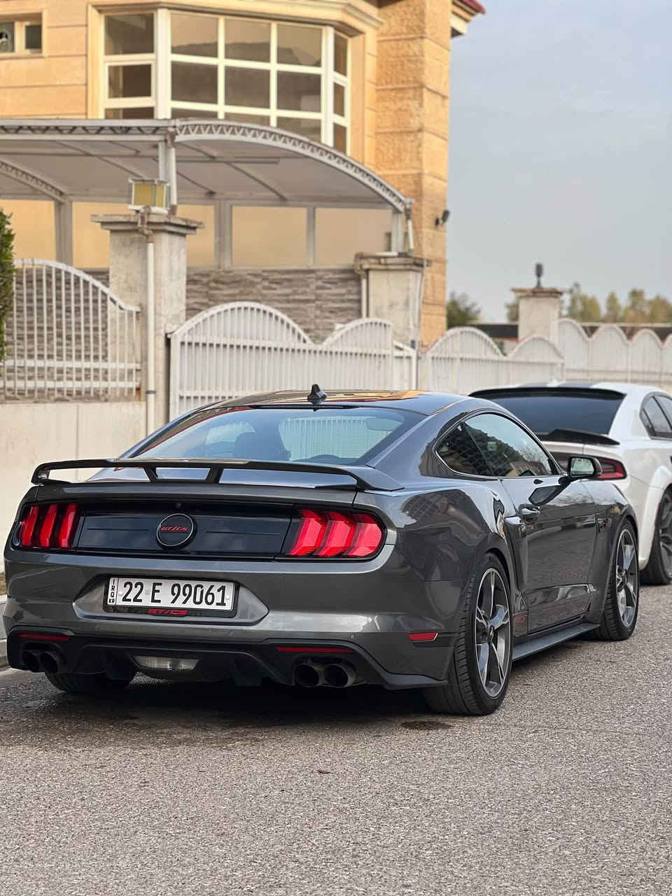 موستانغ GT/CS • V8 5.0 • بدون صبغ
