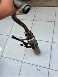 سكنس • اصليه • مكفوله