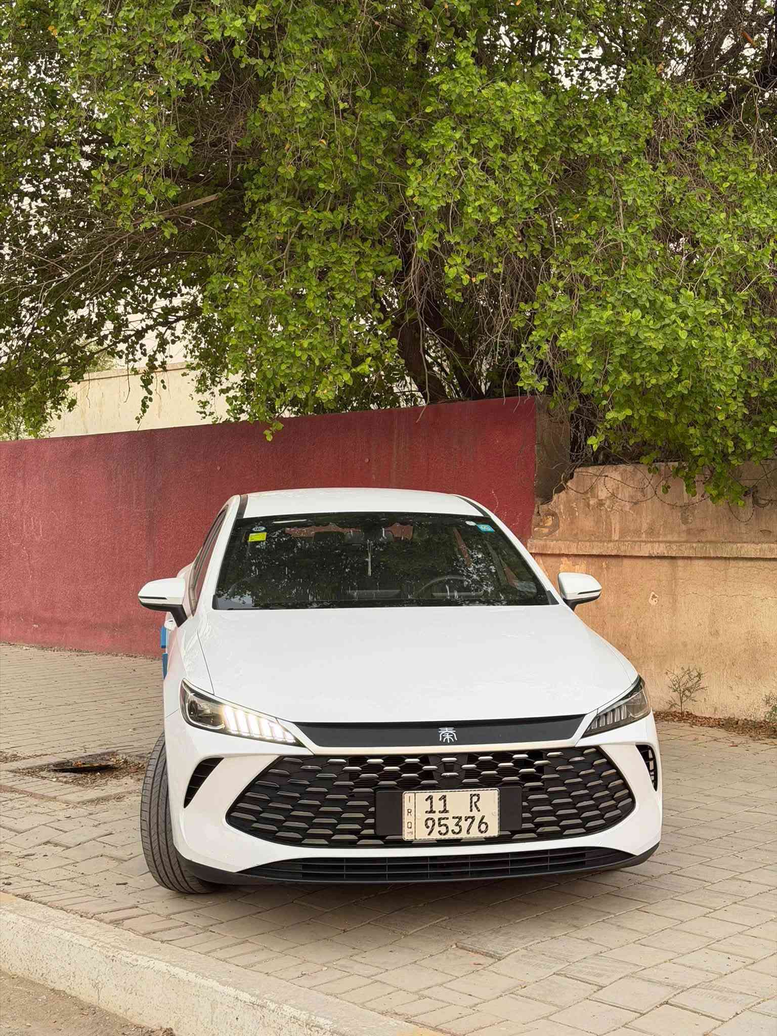 بي واي دي جن بلاص 2025
🔥 BYD King Plus 2025 – هايبرد 🔥

رقم بغداد بسمي

🟢 اللون ابيض
🤎 الداخل: زيتوني
     المشي: 12الف الكلي
⚙️ المحرك والتقنيات

• محرك 1500cc اقتصادي
• Hybrid + Electric + Petrol
• مدى يصل إلى 2100 كم تقريباً 🔥
• مدى كهرباء فقط يصل إلى 55 كم
• تبريد أمامي وخلفي – قطعتين
• بصمة تشغيل + كارت دخول ذكي
• شاشة وسطية
• كاميرا خلفية
• حساسات خلفية
• 10 Airbags

💡 الإضاءة والتصميم

• لايت زنون
• باك لايت LED
• ويل أسود مات
• تحكم بالمقود من الجانبين

💰 السعر: 19,750
🔻 وبيها مجال قليل

📍 العنوان: بغداد – شارع فلسطين
📞 ***********
