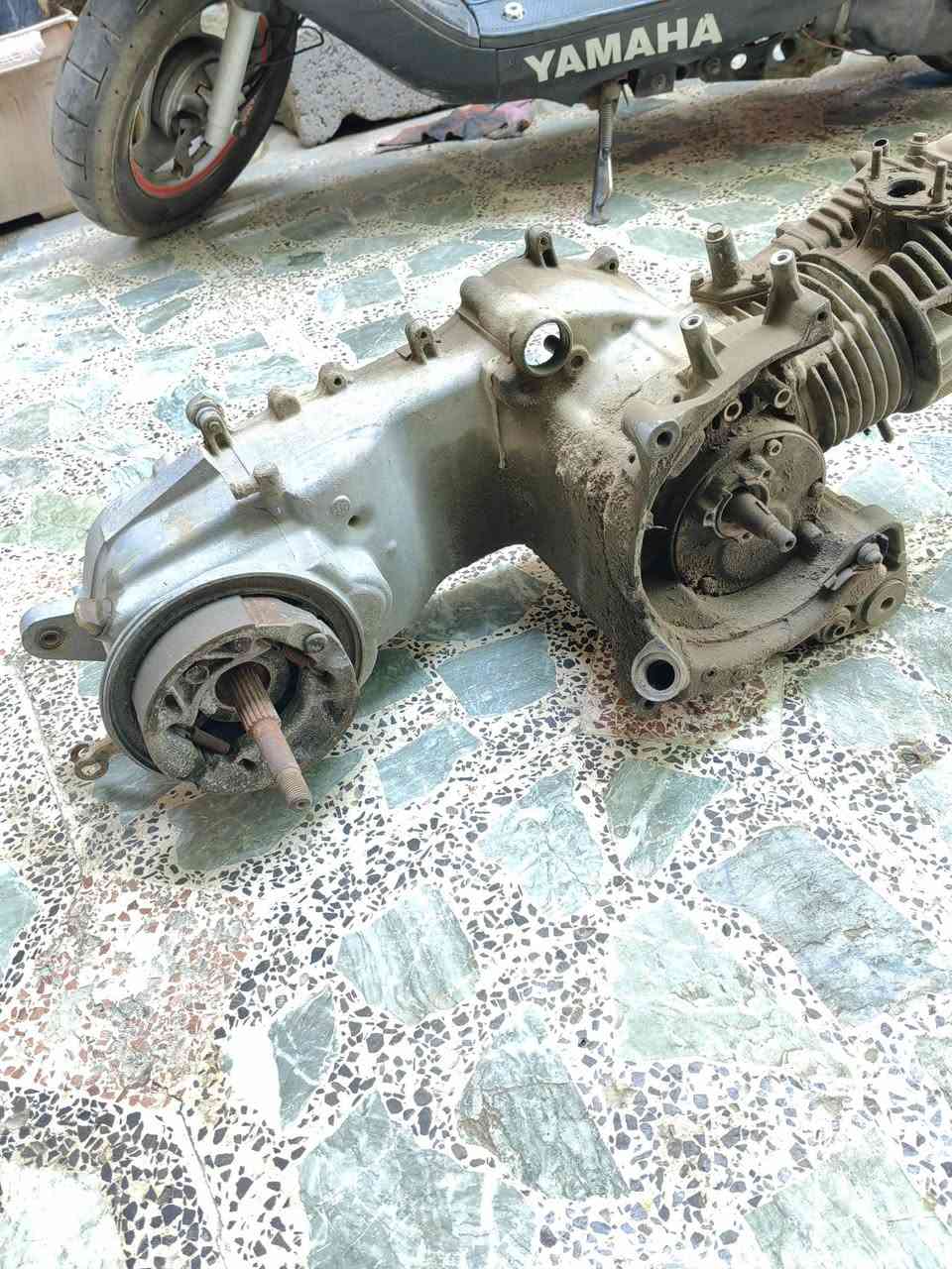 السلام عليكم طابوكة ثعلب كاطعه زنجيل للبيع 40 وبيها مجال مكاني بغداد الكمالية ***********
