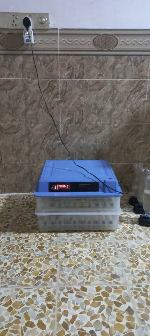 مفقس بيض • ١٢٠ بيضة • دواجن