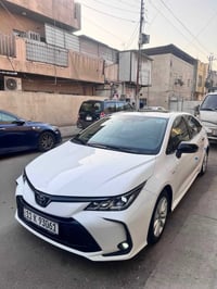 كورلا • ٢٠٢٥ • رقم بغداد