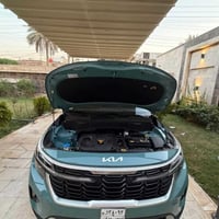 سيلتوس • ٢٠٢٥ • بابل