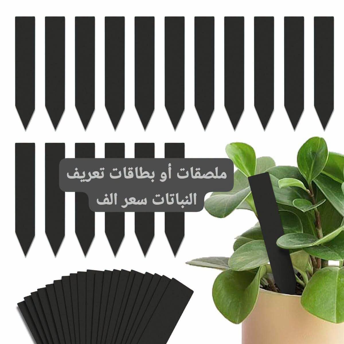 توصيل • حد أدنى ١٥ • اكسسوارات