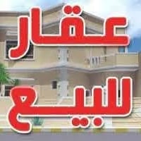 شارع ظلال النخيل • ٢٦٨م • حديقة وكراج