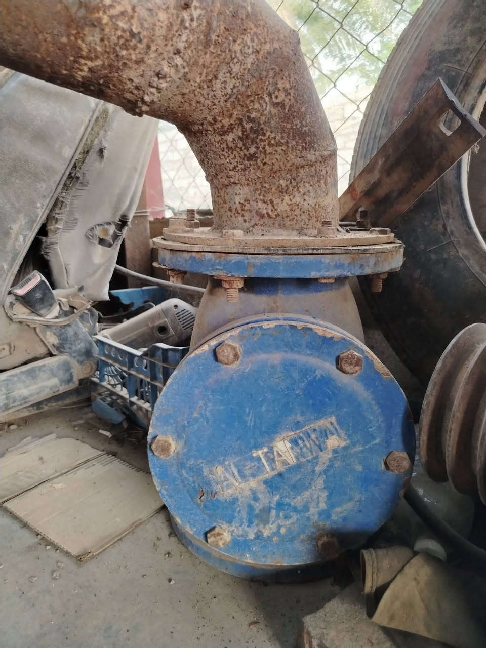سيت ولف • أصلي • ٦ انش