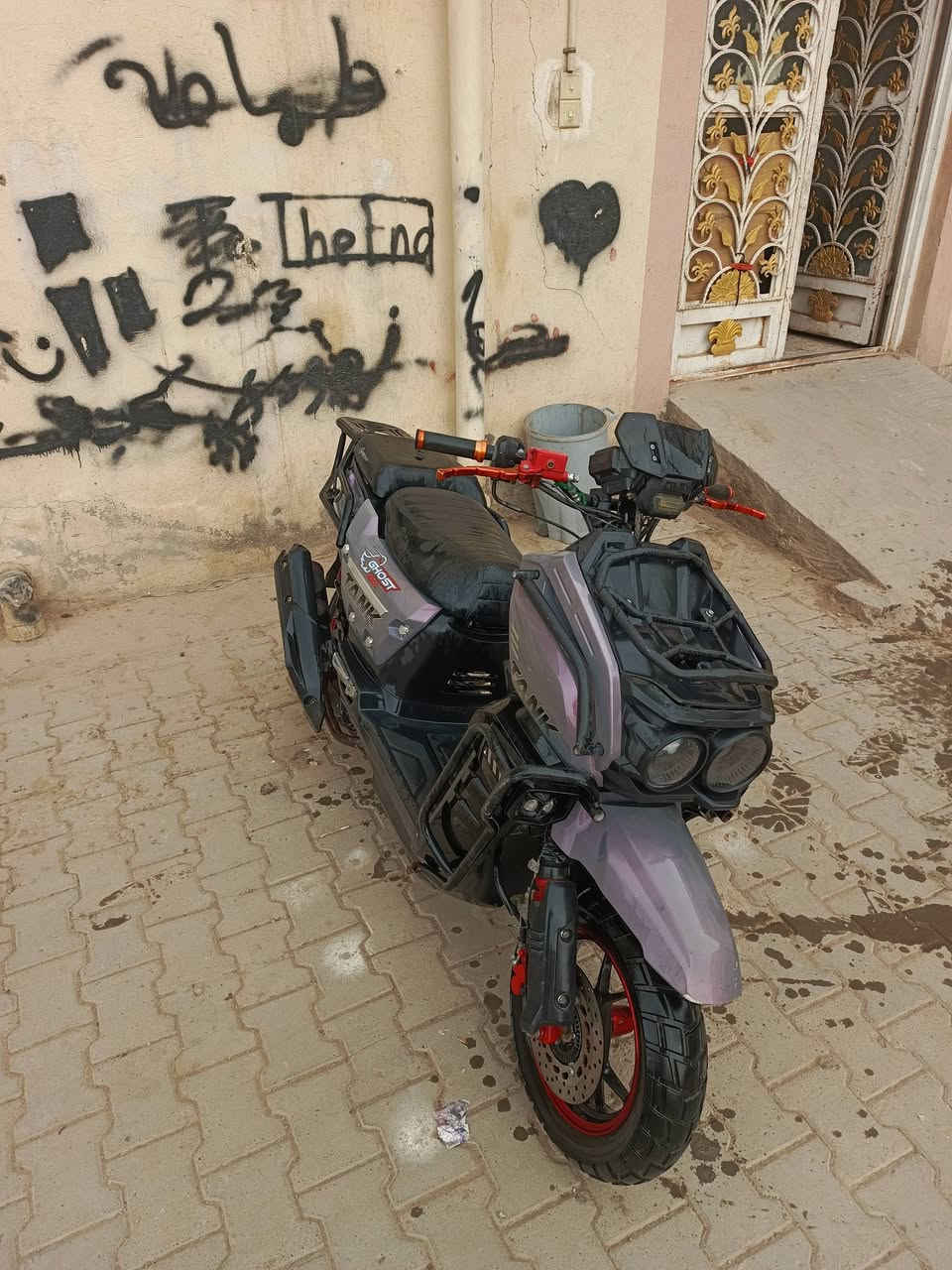 سكنس جبلي • ٢٠٢٥ • معدل فول
