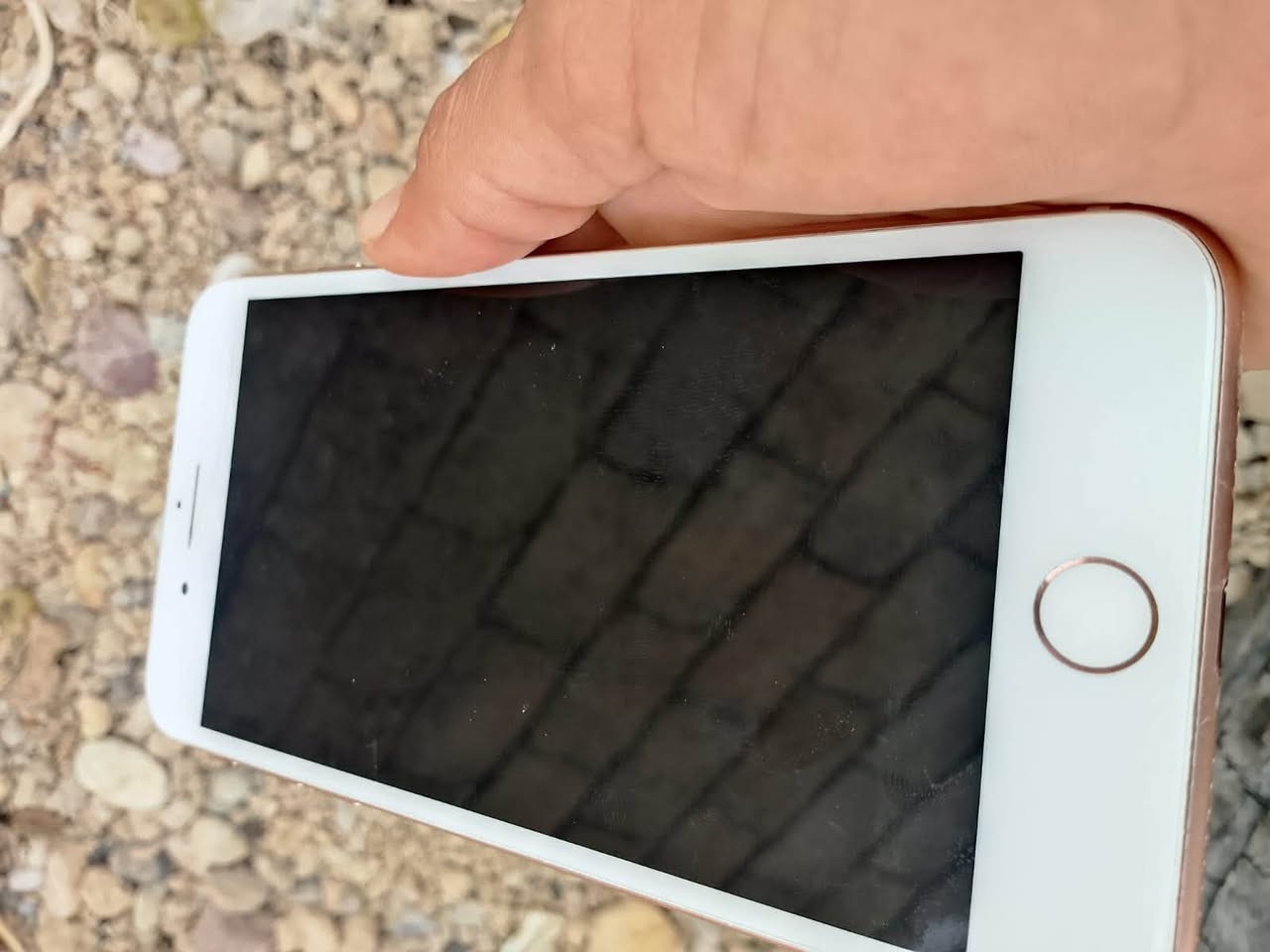 آيفون ٨ بلاس • شاشة مبدلة • بطارية ١٠٠٪