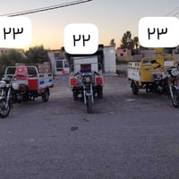 ستوتات • مكفول • أوراق كاملة