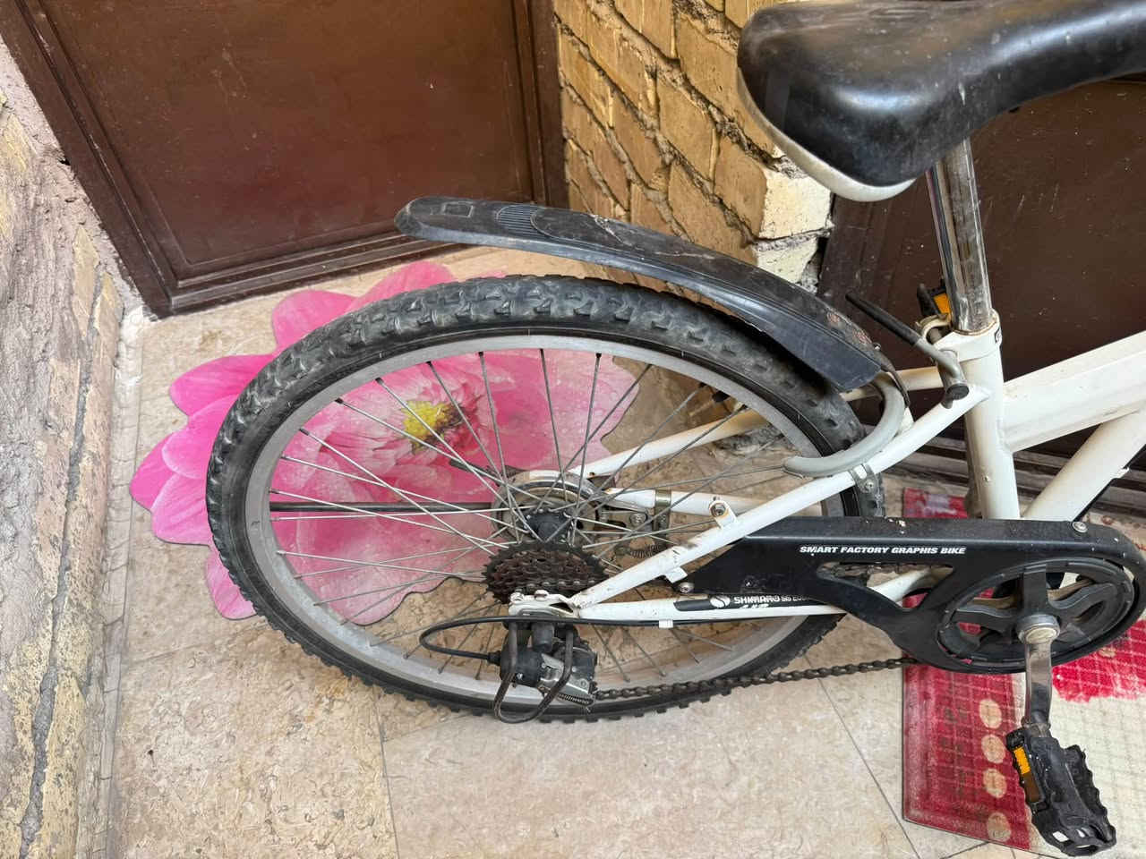 بايسكل • حجم ٢٤ • حي اور