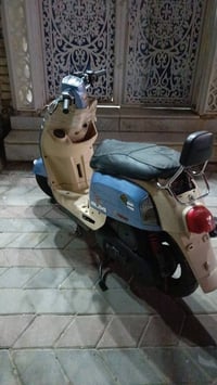 ماكس بوليس • نوزل • اوراق