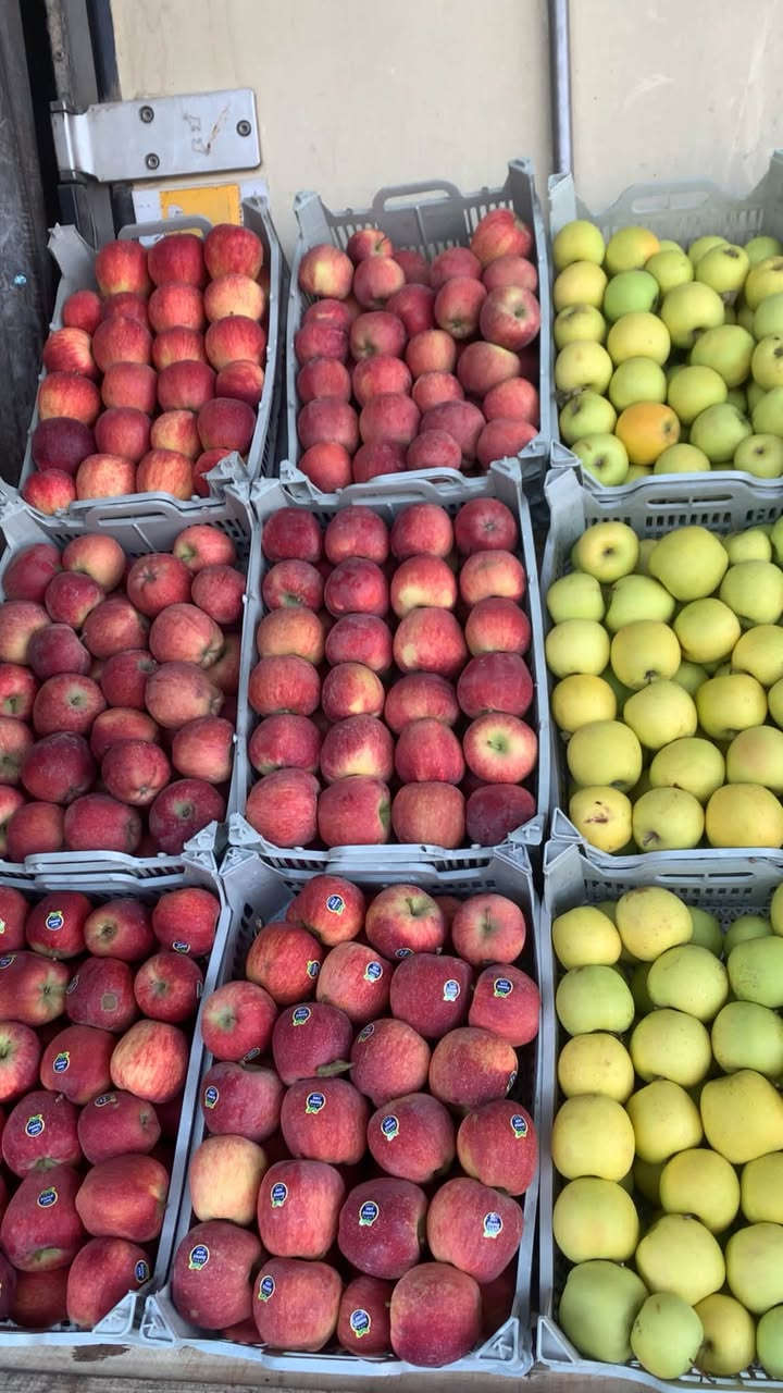 طماطه • بطاطا • عنب حلواني
