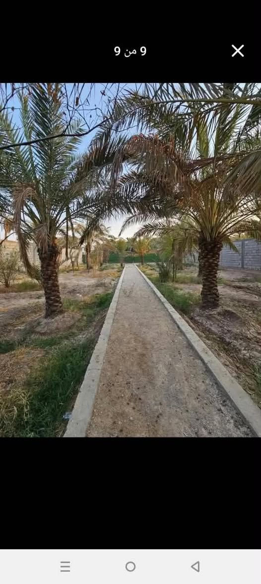 بستان • أبي الخصيب • ١٠٧٠م