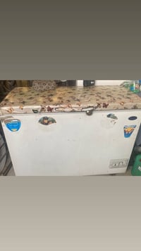 مجمدة • كبيرة • عاطلة