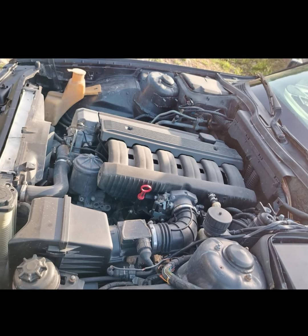 BMW 1990 525
ئاڕم پلاستیک هەولێر بەشەرتی گێڕ و مەکینە ئاڕم موس و بڕاوە ئەوەلیات بەشەرت 
بێدەعم بۆیاخی عام لەسەر ساغی 
دووجام کارەبا 
سڵاید 
چوار تایە لۆکی لەژێرایە 
ساڵۆنسای تازە گۆڕاوە سپۆڕت 
تەبرید 
مەکینەی525 کەپس بێ بوخار 
ناوی لەدەری جوانترە ناوی کراوە بەڕەش

٤٤ گەڵاو معامەلەکی برایانە 
سلیمانی 
*********** السليمانية, العراق
