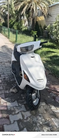 فراشه • سلف هندر • لايت زنون