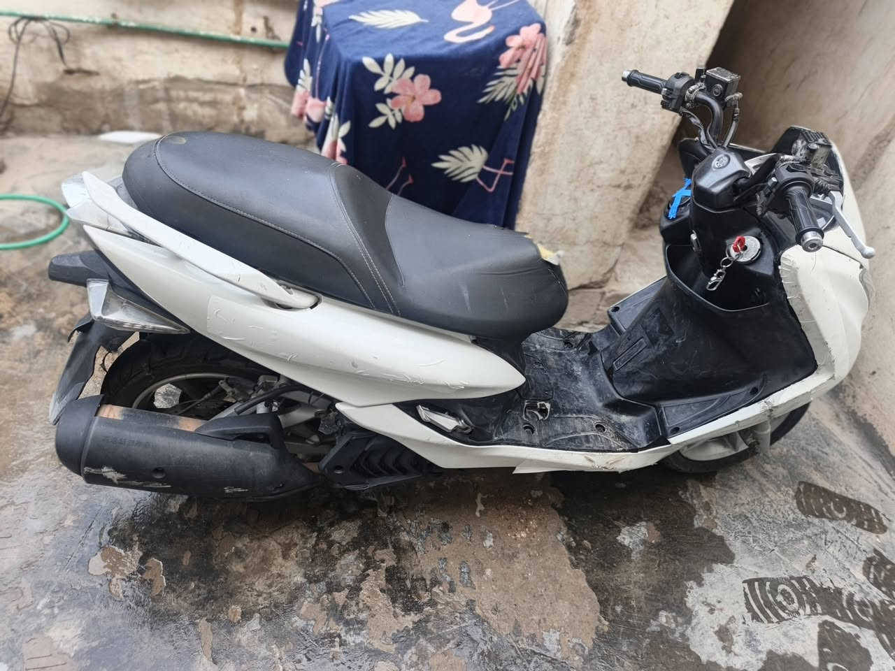 ماجسته اس • نضيف • كفاله