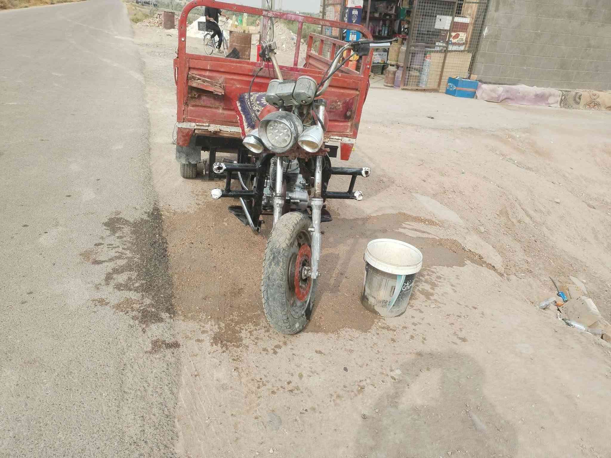 ستوته • ٢٠١٠ • شاصي مكفول